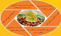 مصرف روغن پالم ؛عامل افزایش چربی خون و انسداد عروق