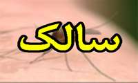 سالک بیماری بومی استان و شایع در فصل گرما
