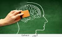 ژنتیک، مهم ترین عامل بروز آلزایمر