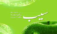 ارائه خدمات مراقبتی به جوانان و نوجوانان ثبت نام شده در سامانه سیب