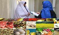 اجرای طرح ملی"بررسی الگوی مصرف غذایی و وضعیت تغذیه ای خانوارهای کشور" از ابتدای دی ماه در استان