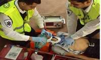 آخرین آمار بستری افراد مسموم شده اهل صندل آباد 10 نفر است