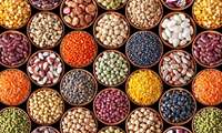کاهش میزان گرسنگی در ماه رمضان با مصرف غذاهای فیبر دار