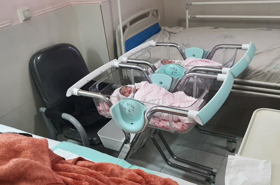 Birth of the first twins by IVF method in North Khorasan