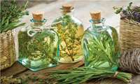 عرقیجات گیاهی بی‌خطر نیستند