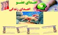 رضایت خانواده 3 بیمار مرگ مغزی به اهدای عضو از ابتدای سال