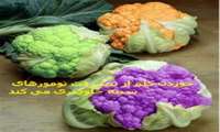 بیشتر کیست های سینه خوش خیم هستند