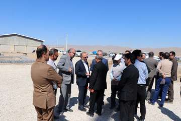 IMG_9906